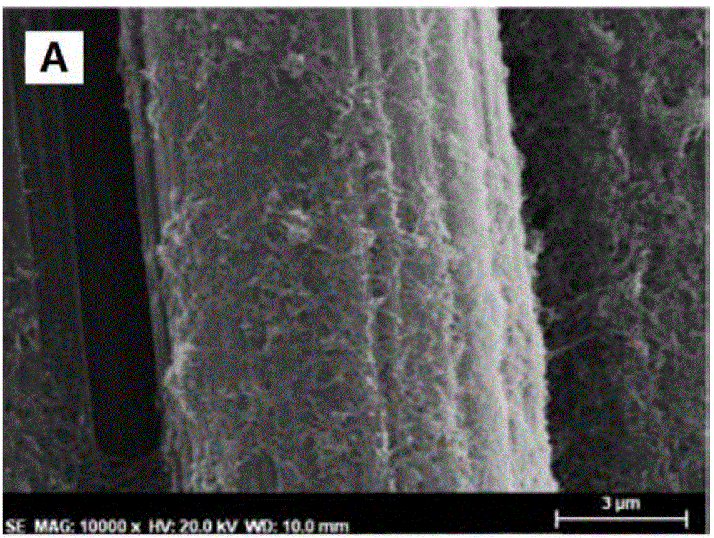 Method for growing carbon nano tube in situ on surface of fiber