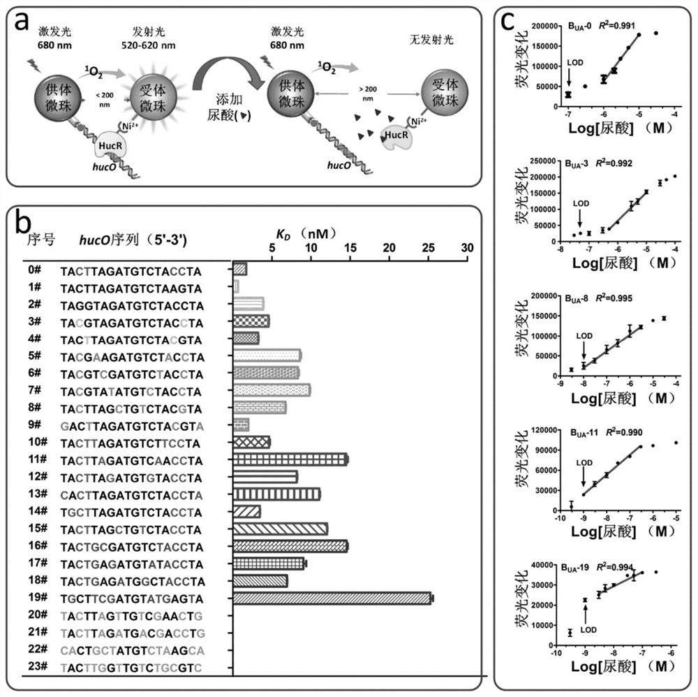 Biosensors comprising allosteric transcription factor regulatory systems, kits and their use in small molecule detection