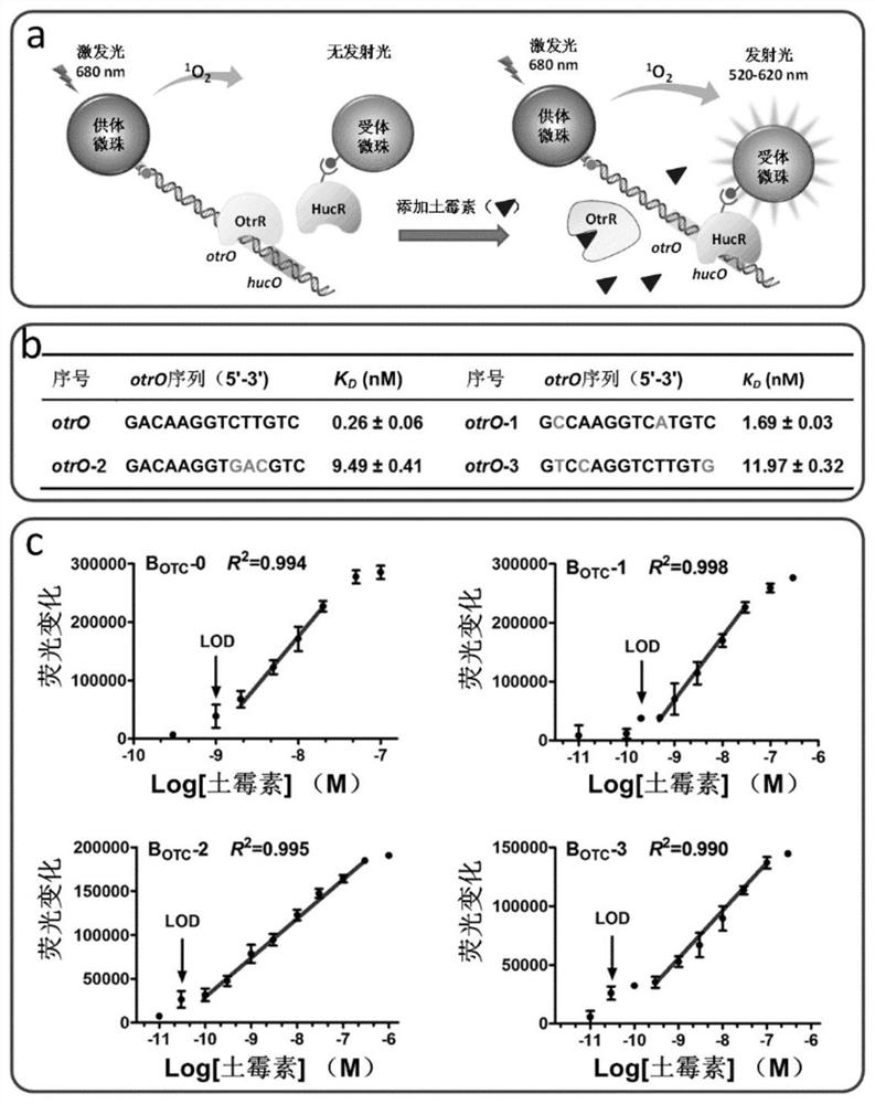 Biosensors comprising allosteric transcription factor regulatory systems, kits and their use in small molecule detection