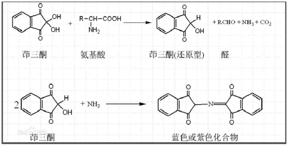 Ninhydrin/nano-titanium dioxide composite and its preparation method and use