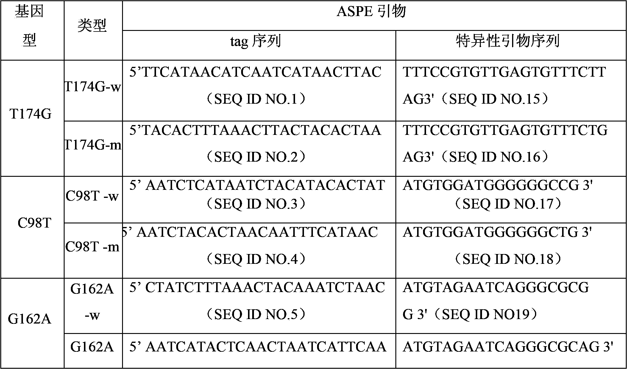 TERT gene mutation detection specific primers and liquid chip