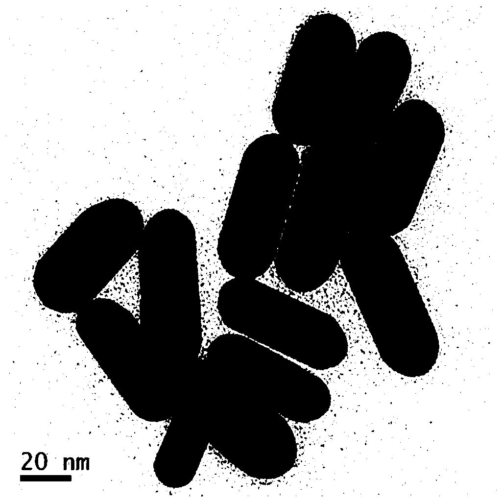 A surface-enhanced Raman scattering substrate and its preparation method