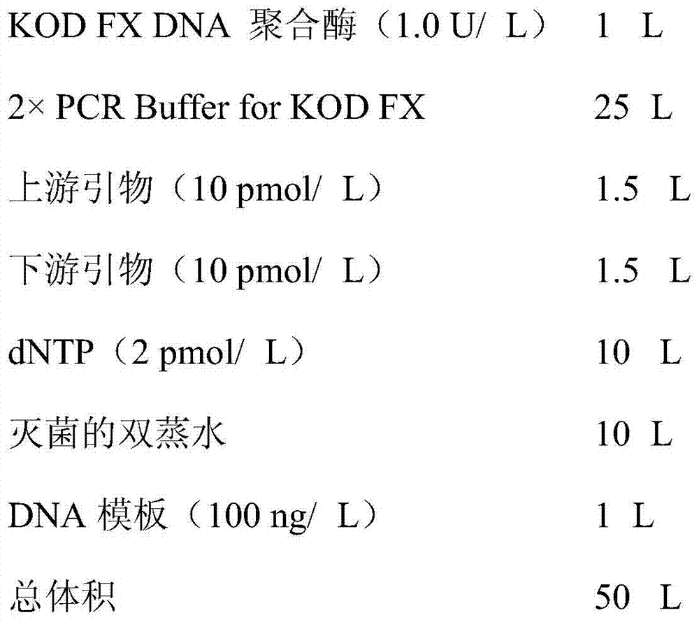 Preparation method and application of DNA capturing probe