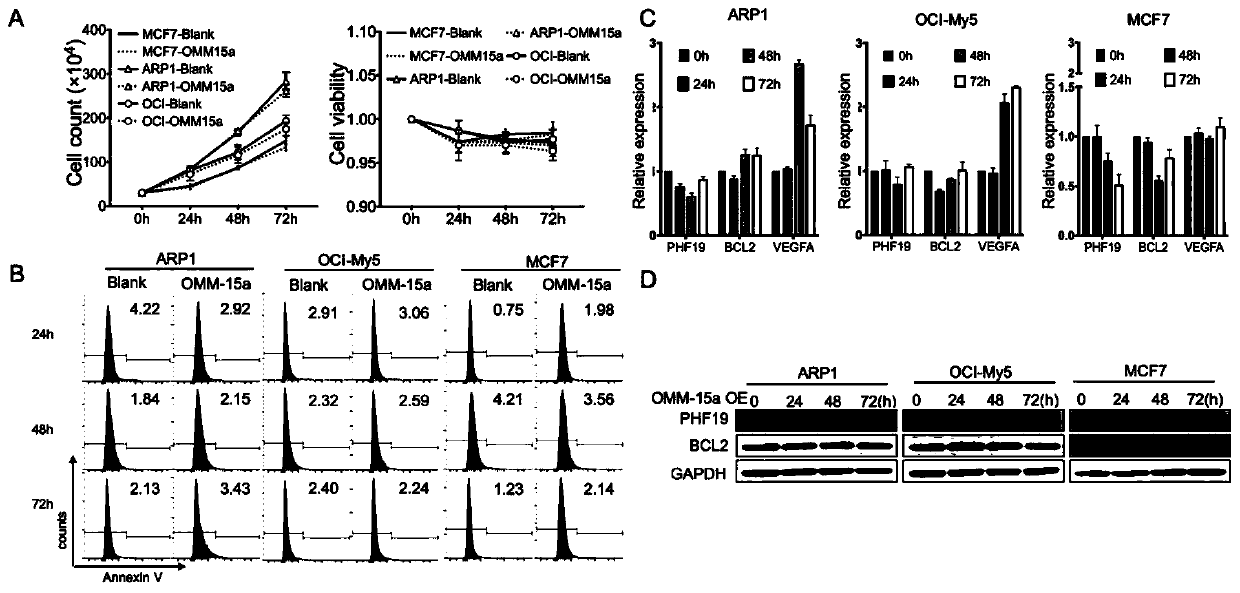 miRNA analog modified by locked nucleic acid and thiophosphoric acid and application of miRNA analog in preparation of antitumor drugs