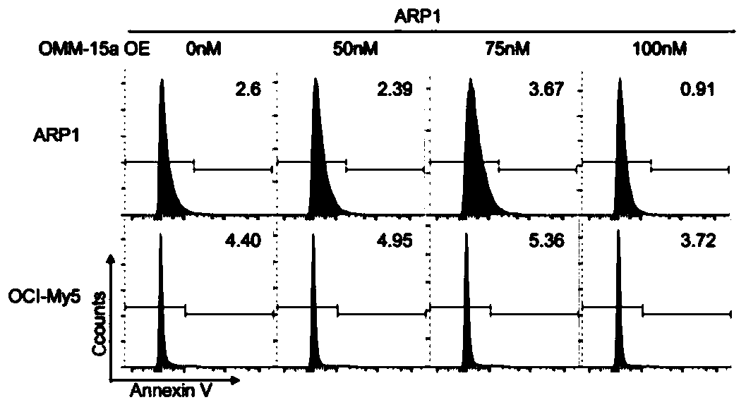 miRNA analog modified by locked nucleic acid and thiophosphoric acid and application of miRNA analog in preparation of antitumor drugs