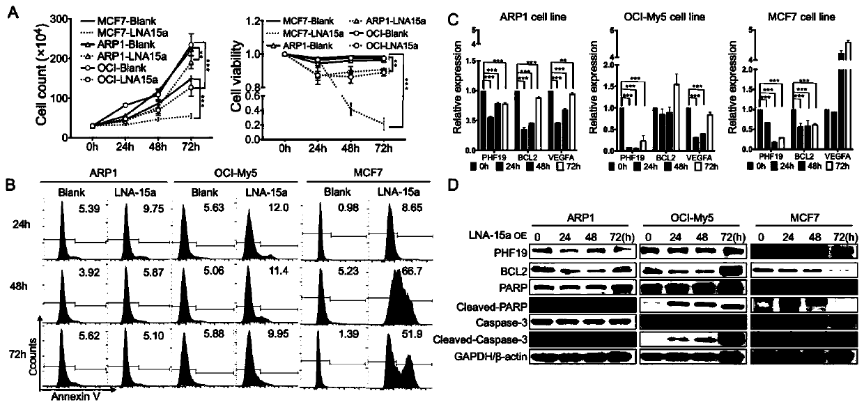 miRNA analog modified by locked nucleic acid and thiophosphoric acid and application of miRNA analog in preparation of antitumor drugs