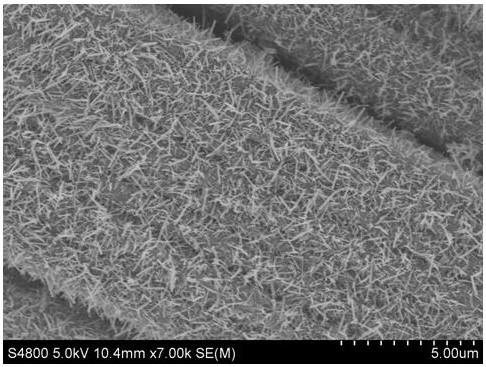Vanadium disulfide nanometer rod array electrocatalyst and preparation method thereof