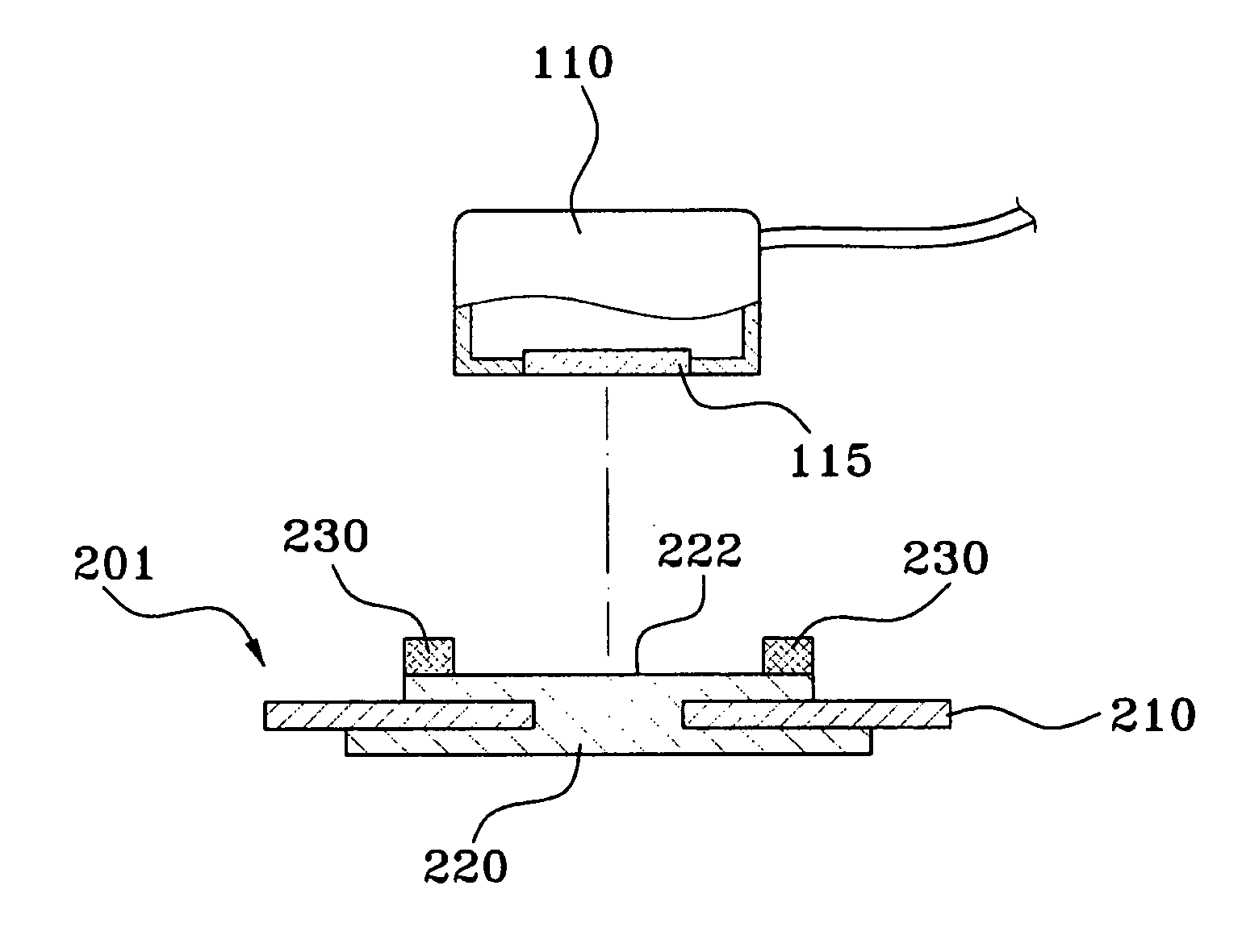 Electrode for living body and device for detecting living signal