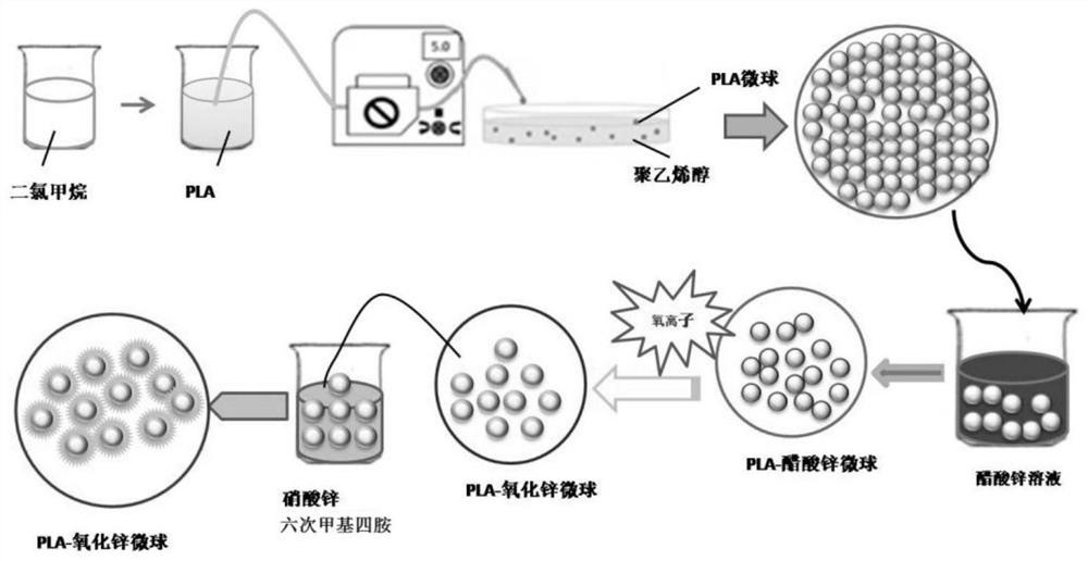 Polylactic acid-zinc oxide micro-nano multi-level structure composite microsphere material and its application