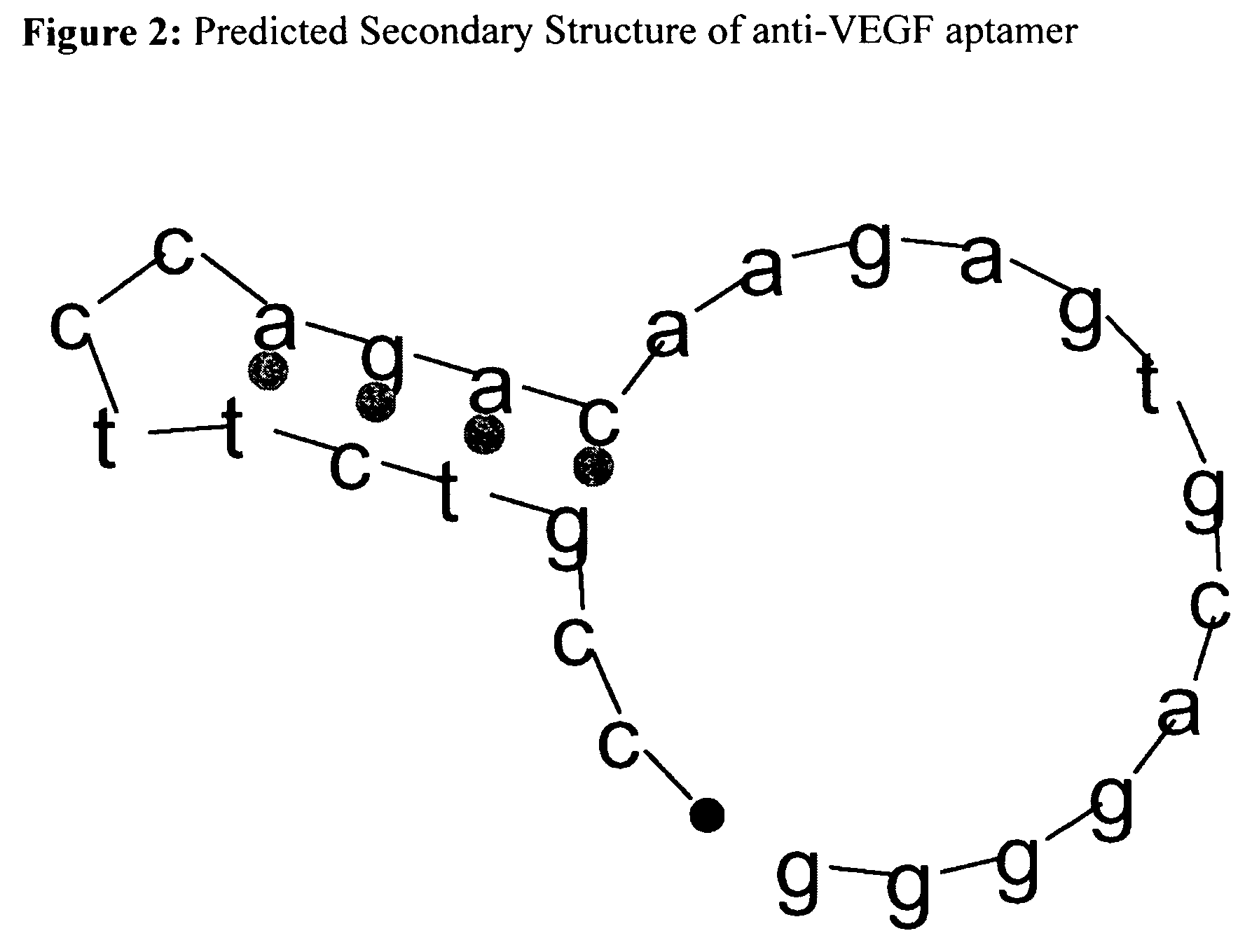 Introduction of structural affinity handles as a tool in selective nucleic acid separations