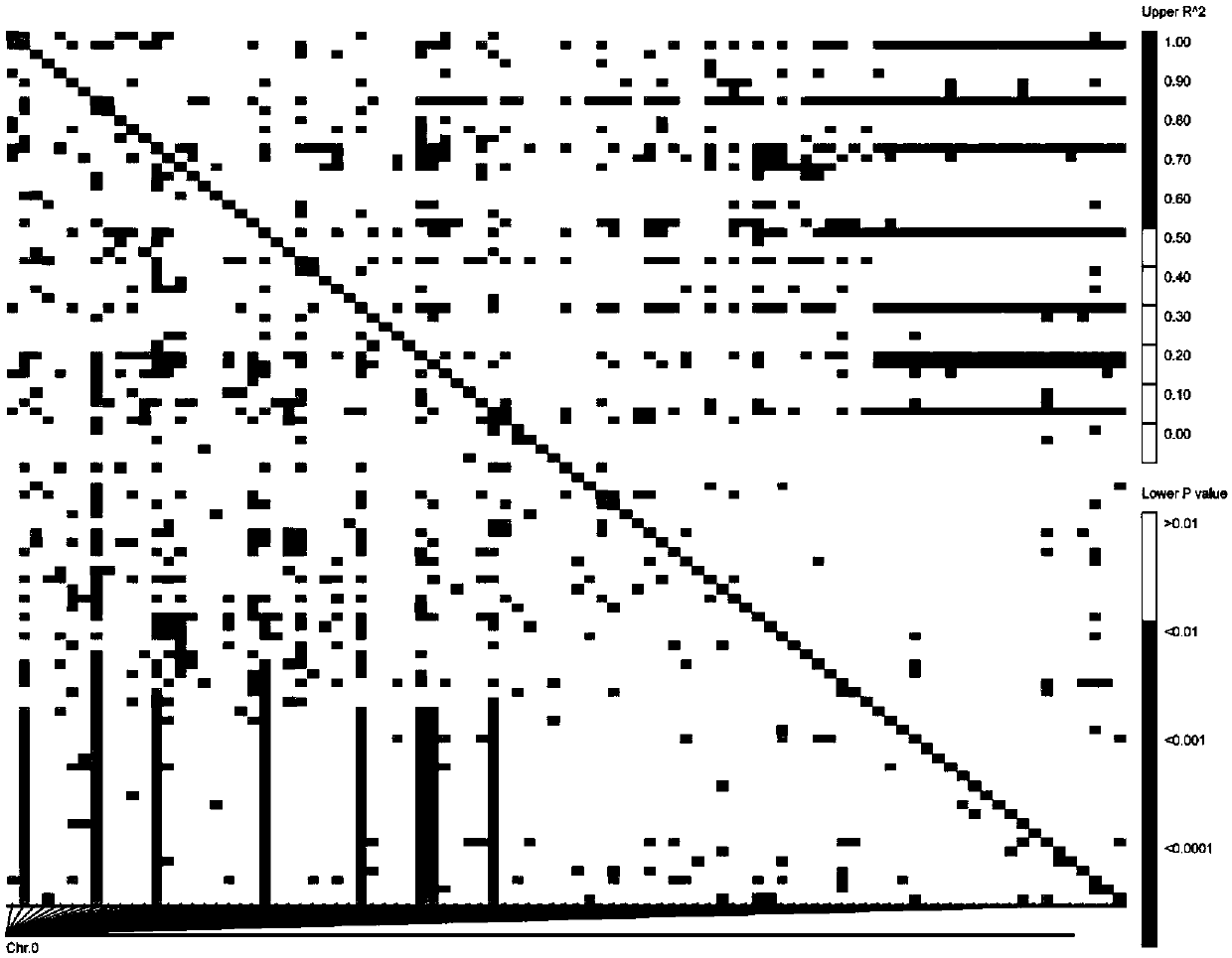 Simple sequence repeat (SSR) molecular markers co-segregated with main-effect quantitative trait loci (QTL) for controlling flax plant height, and application of SSR molecular marker