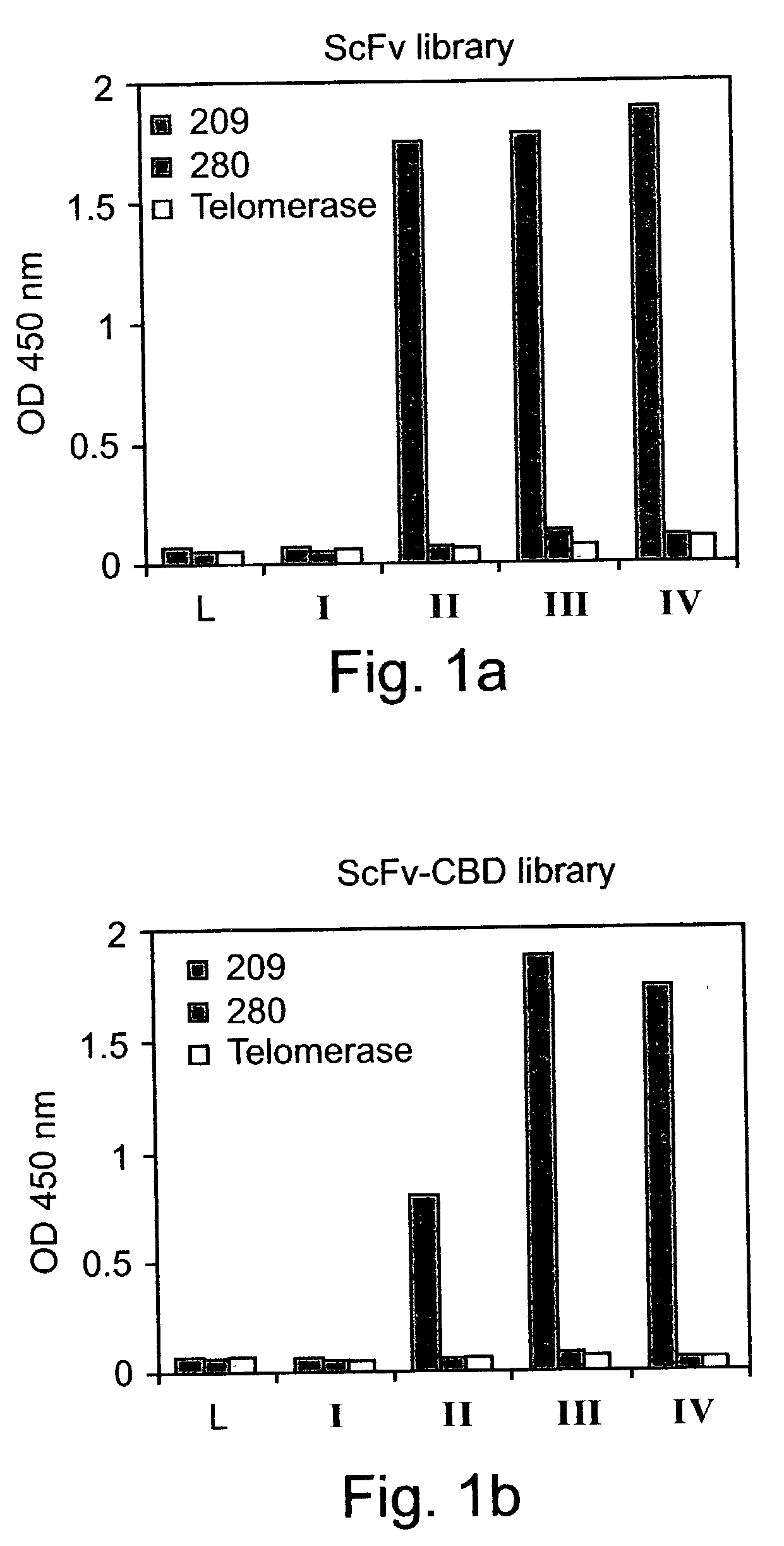 Antibody having a t-cell receptor-like specificity, yet higher affinity, and the use of same in the detection and treatment of cancer, viral infection and autoimmune disease
