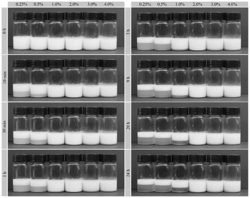 Millimeter-level polykaryon capsules for transporting nutrient substances/medicines to small intestines and realizing slow release and preparation method and application of millimeter-level polykaryon capsules