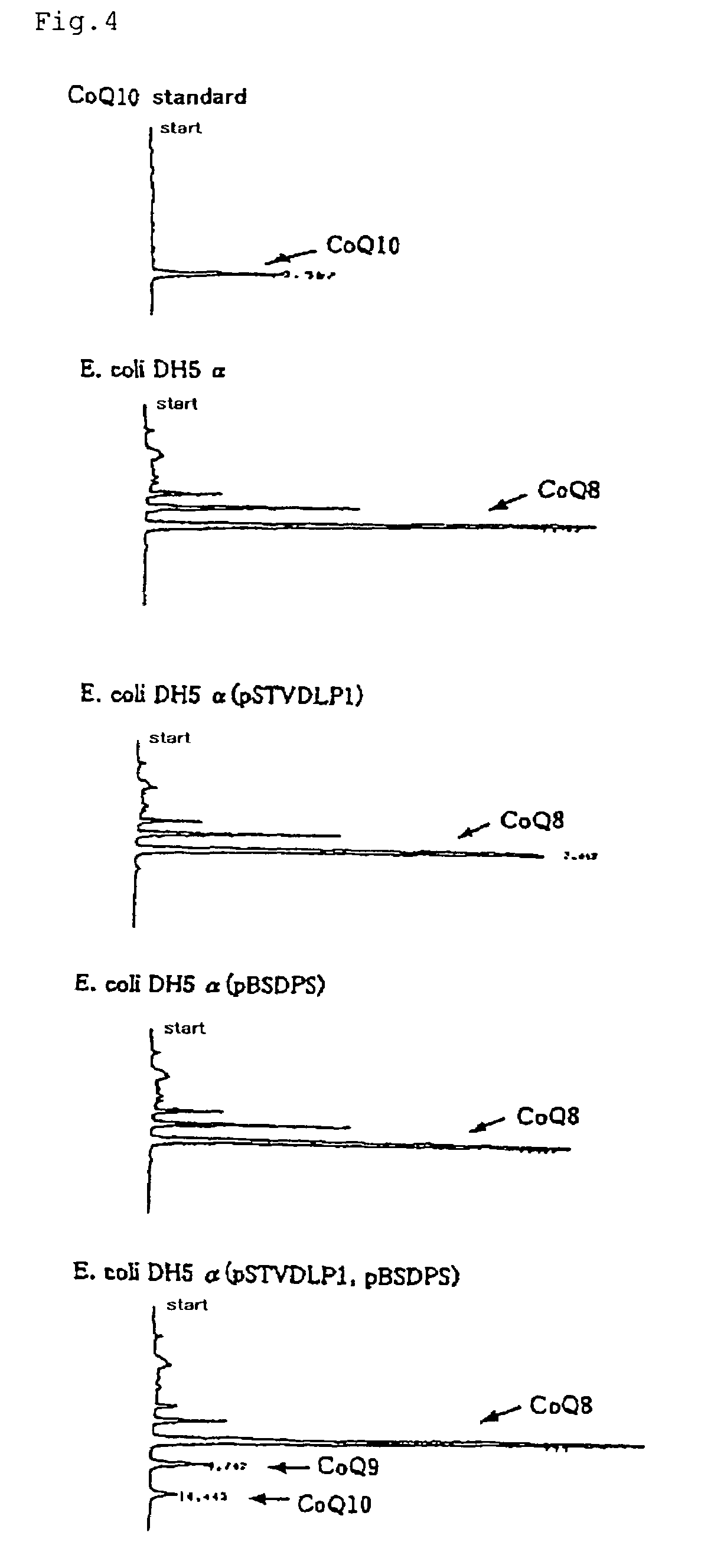 Method of expressing long-chain prenyl diphosphate synthase