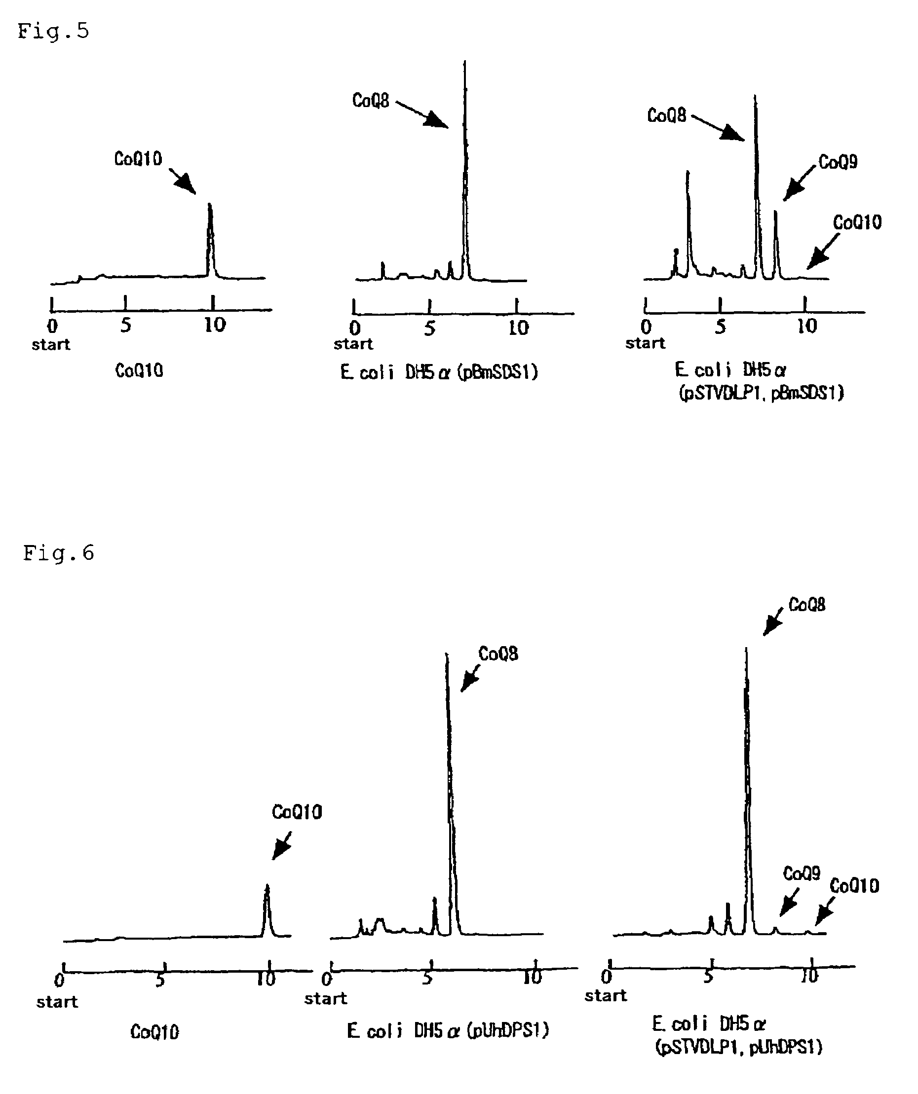 Method of expressing long-chain prenyl diphosphate synthase