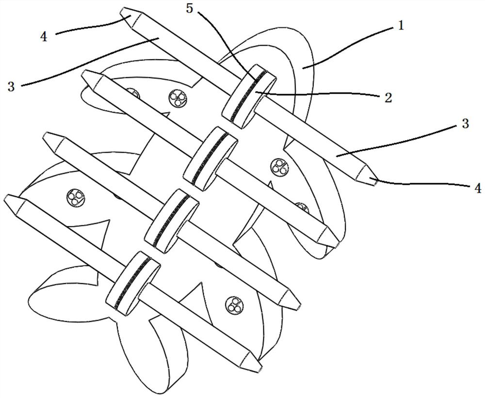 A kind of ladybug releasing device and releasing method