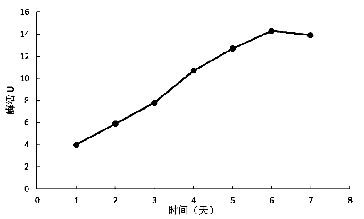 Xylose isomerase mutant, DNA molecule coding xylose isomerase, recombination strain with introduced DNA molecule and application thereof