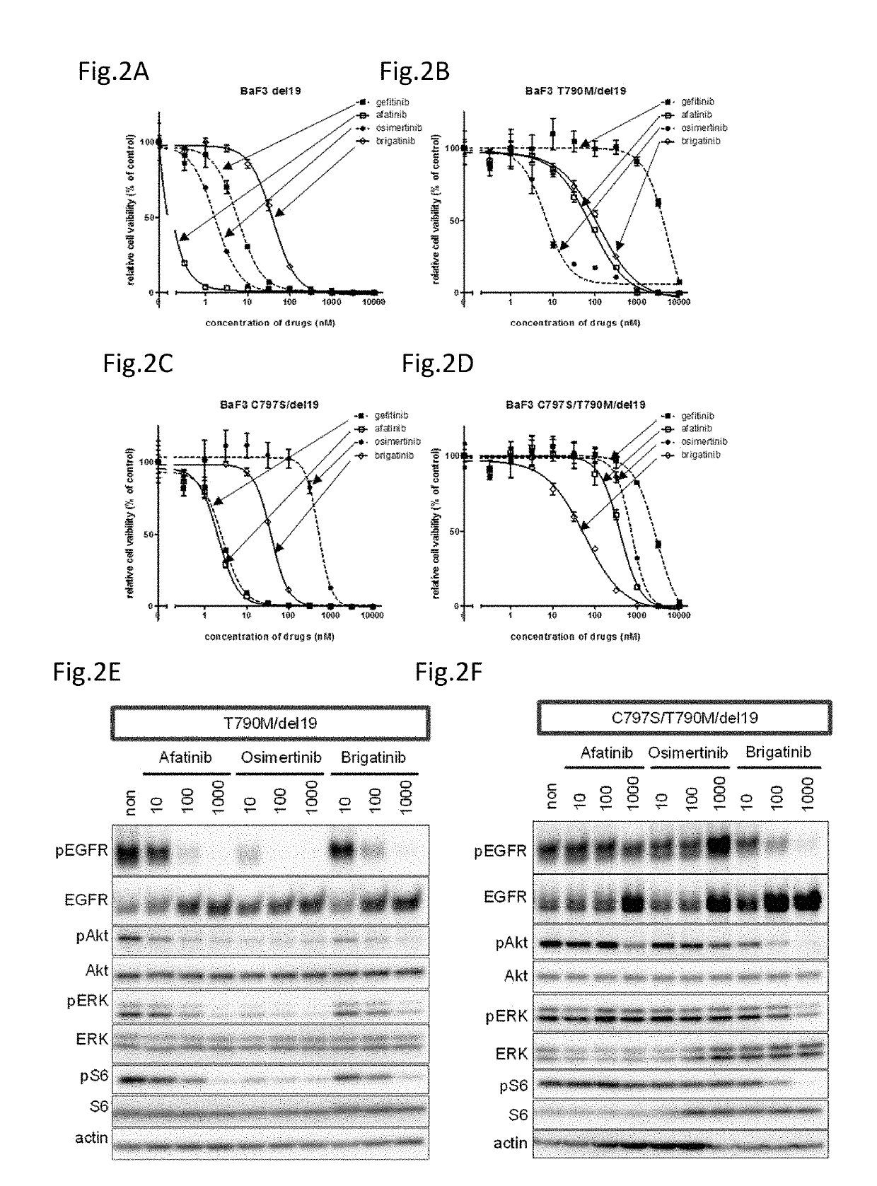 Therapeutic agent for lung cancer that has acquired egfr-tki resistance