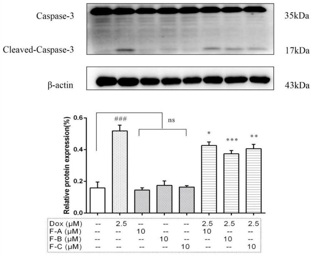 Applications of compound F-A in preparation of products for preventing and/or treating heart injuries