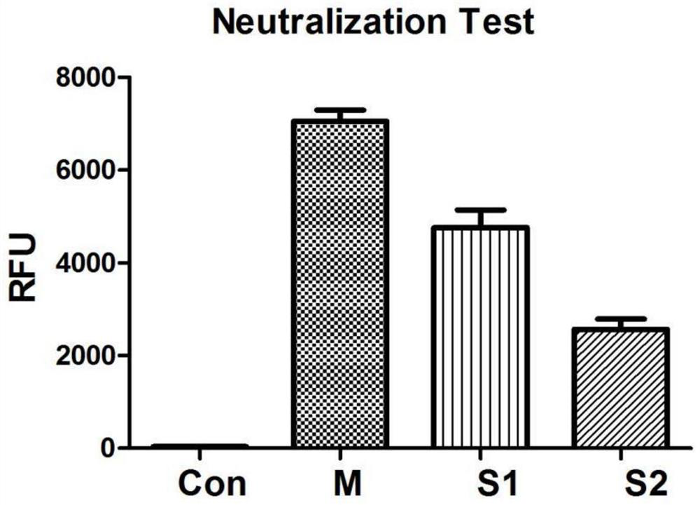 Fully humanized anti-hepatitis B virus monoclonal antibody as well as preparation method and application thereof