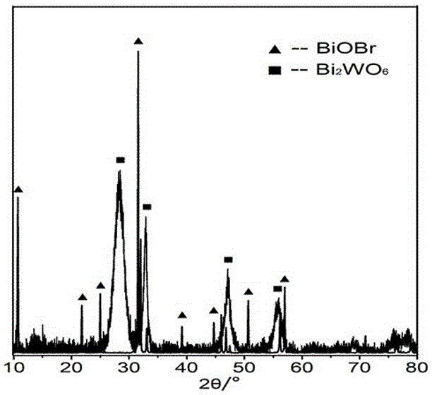 BiOBr/Bi2WO6 composite photocatalyst with heterostructure and preparation method thereof