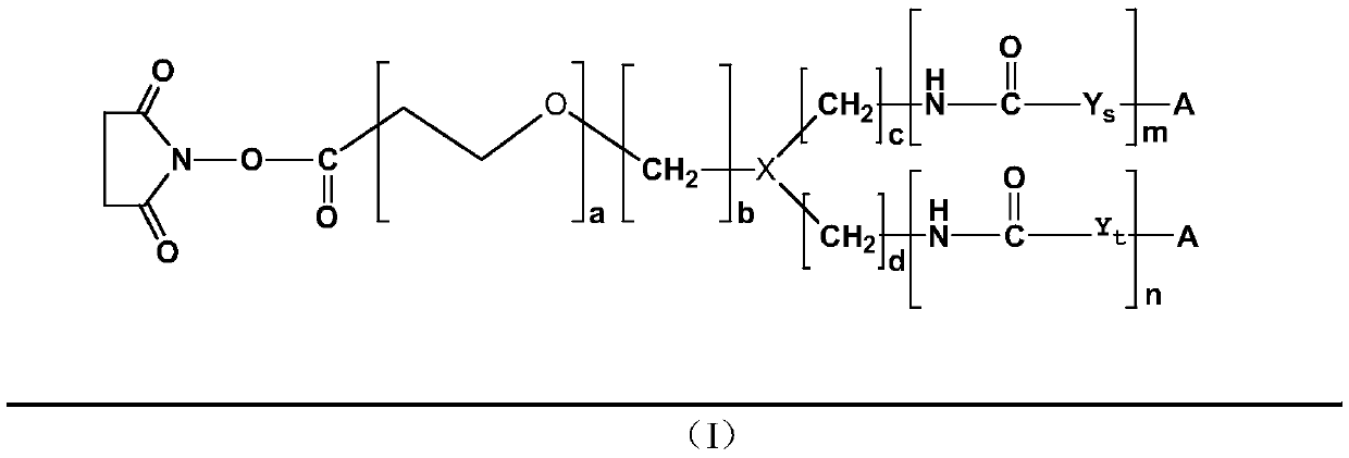 A kind of isoluminol derivative and its preparation method and application