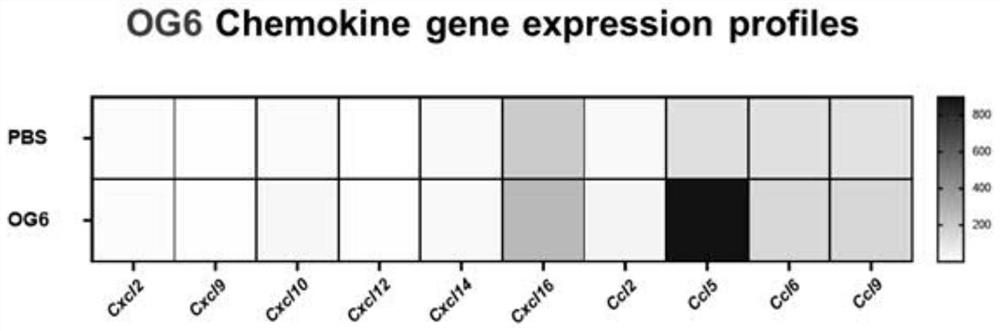 Glucohexaose and preparation method and application thereof, and hair regeneration preparation