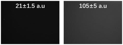 A biological antifouling coating with long-lasting superhydrophilic performance and preparation method thereof