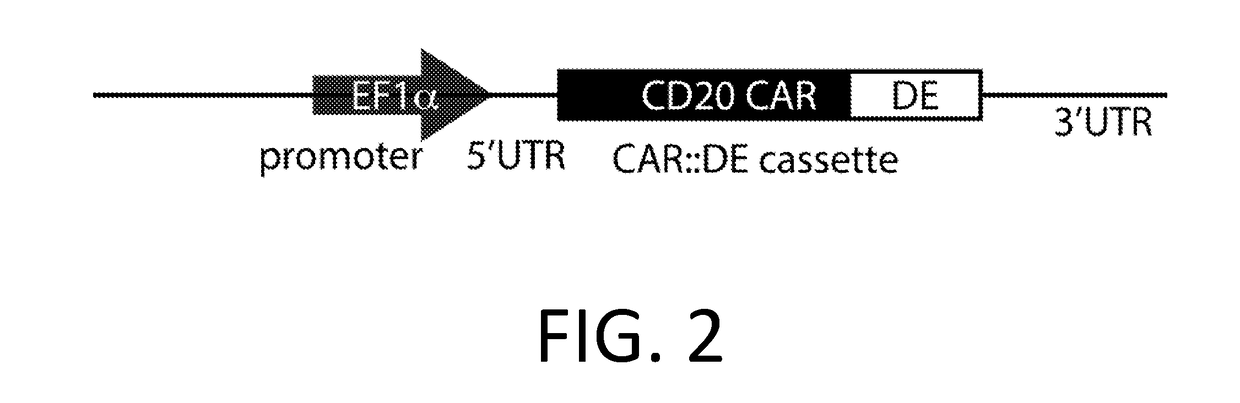 Smart CAR Devices and DE CAR Polypeptides for Treating Disease and Methods for Enhancing Immune Responses