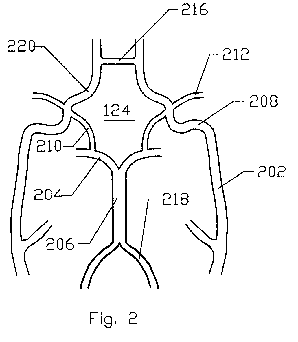 Expandable cerebrovascular sheath and method of use