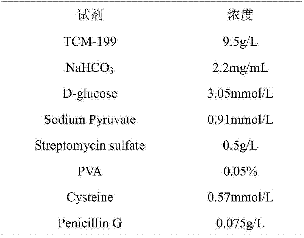 Culture solution capable of improving in vitro maturation rate of pig oocytes and application thereof