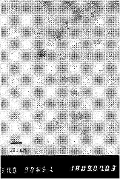 Bufalin-loaded cyclic peptide-modified polyethylene glycol-polylactic acid hydroxyl glycolic acid-polylysine nanoparticles