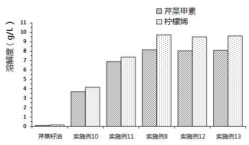 A kind of celery seed oil solid dispersion and preparation method thereof