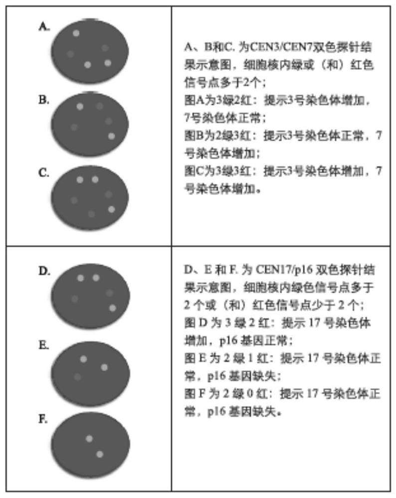 Bladder cancer detection kit