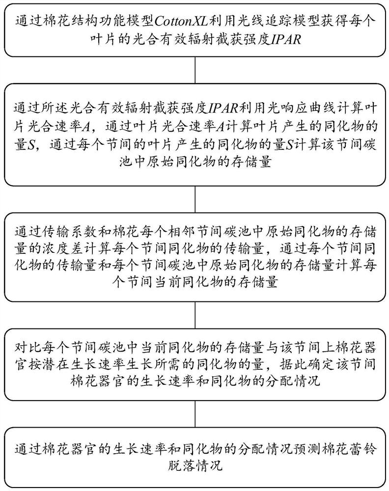 Method for predicting shedding of cotton buds and bolls