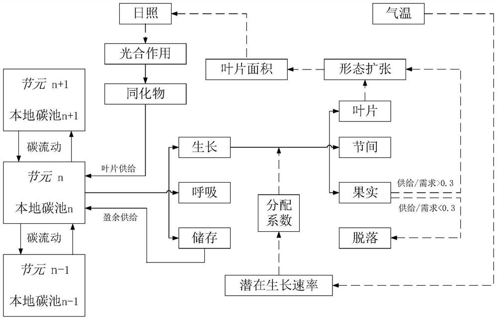 Method for predicting shedding of cotton buds and bolls