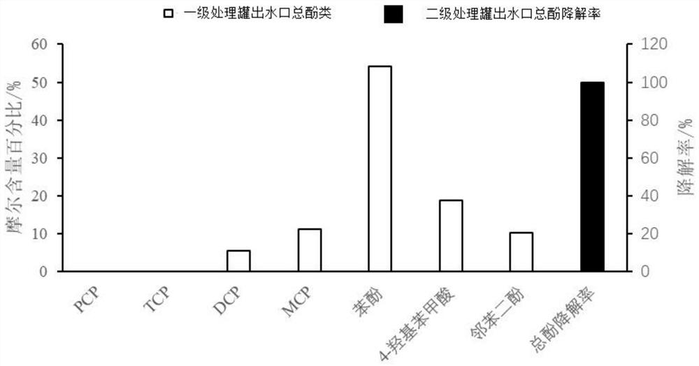 Biological agent, degradation agent and system for deep degradation of polychlorinated phenol and application of biological agent, degradation agent and system