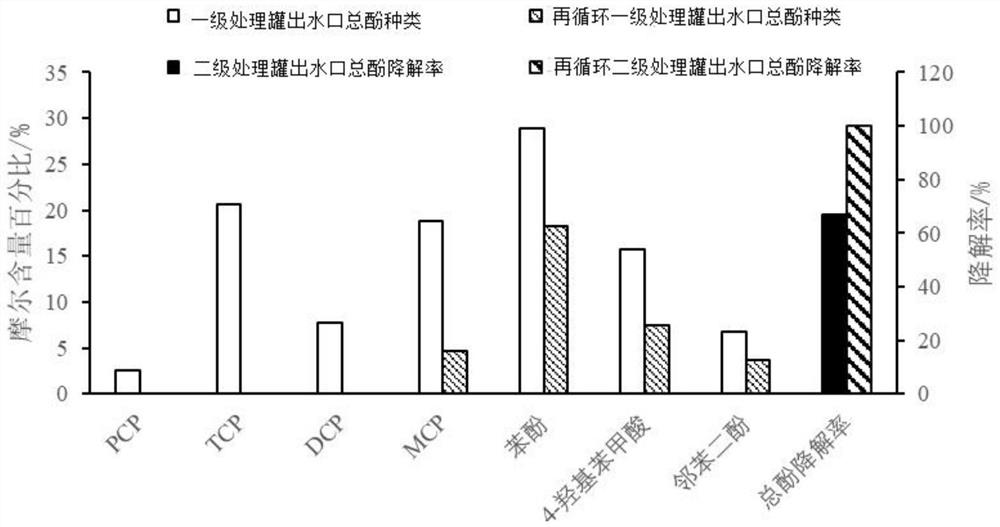 Biological agent, degradation agent and system for deep degradation of polychlorinated phenol and application of biological agent, degradation agent and system