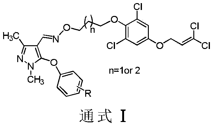 Pyrazole oxime derivative containing dichloropropene as well as preparation method and application method of derivative