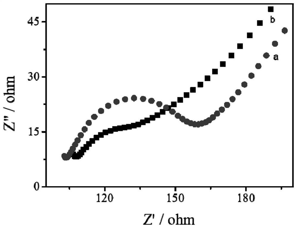 Few-layer MXene-ionic liquid droplet modified electrode as well as preparation method and application thereof in detection of Sudan red
