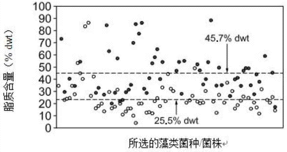 Lipid and growth trait genes