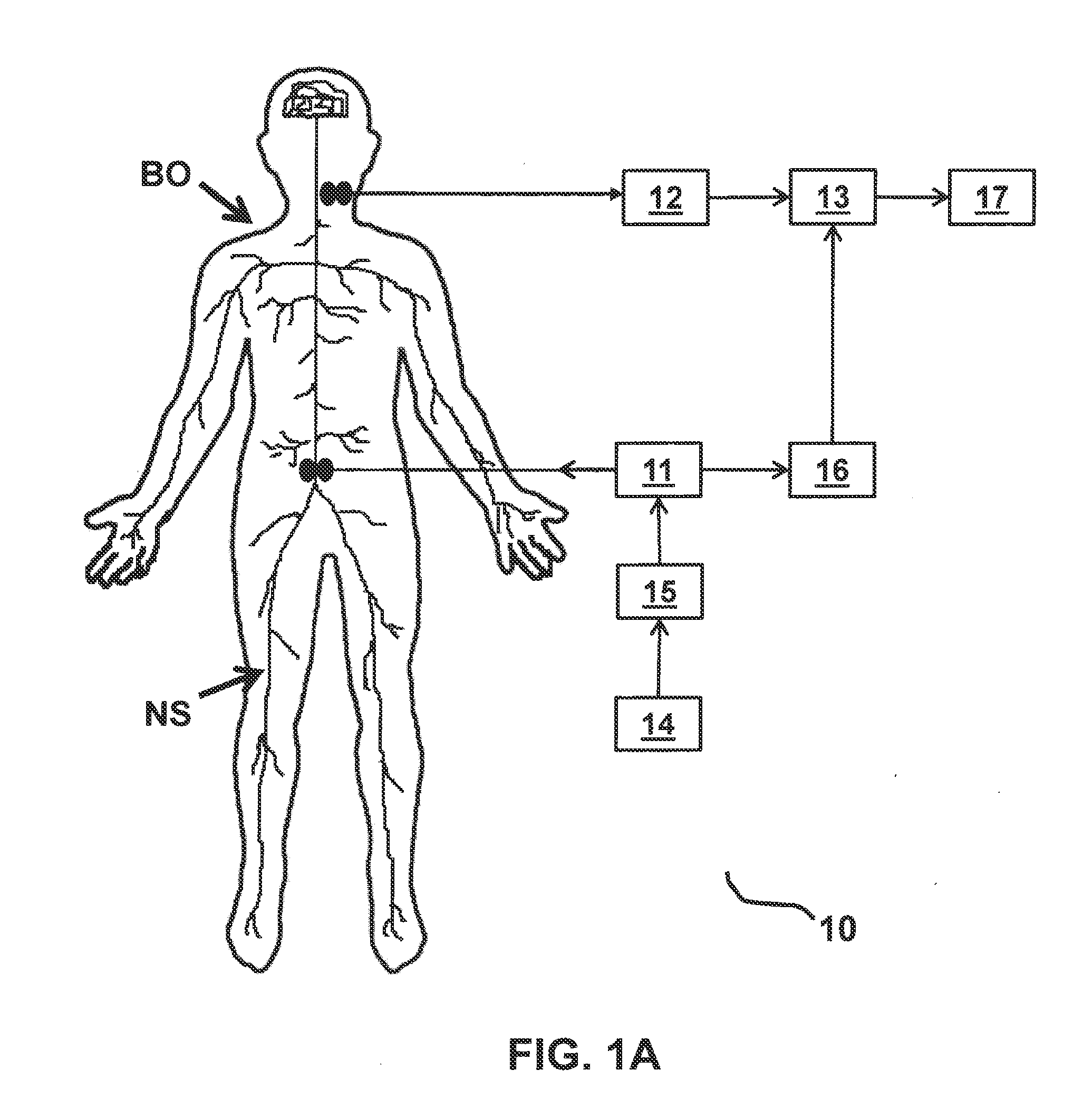 Systems and methods for monitoring muscle rehabilitation