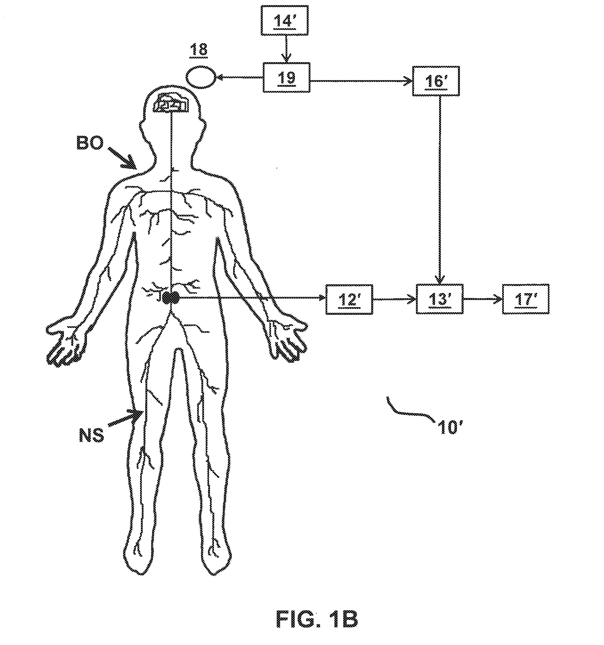 Systems and methods for monitoring muscle rehabilitation