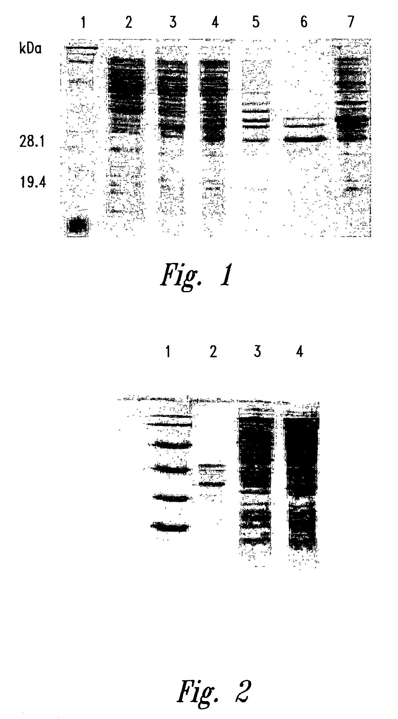 Compositions and methods for treating infections using cationic peptides alone or in combination with antibiotics