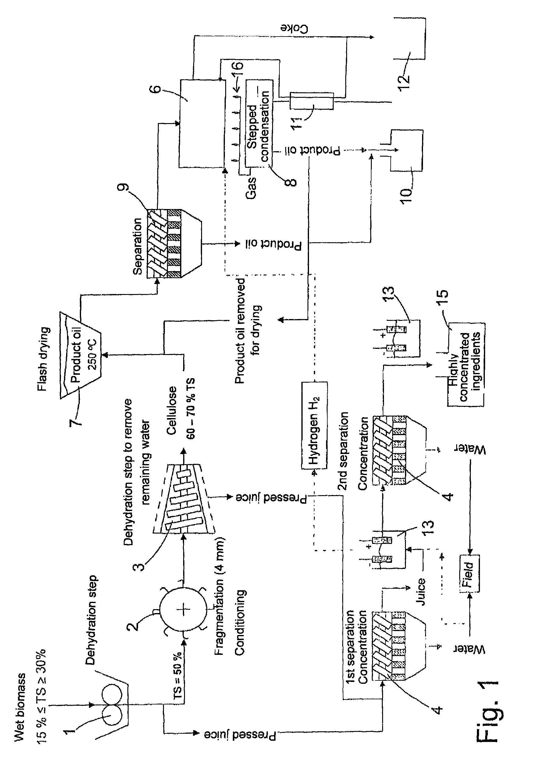 Device and method for obtaining energy carriers from moist biomass