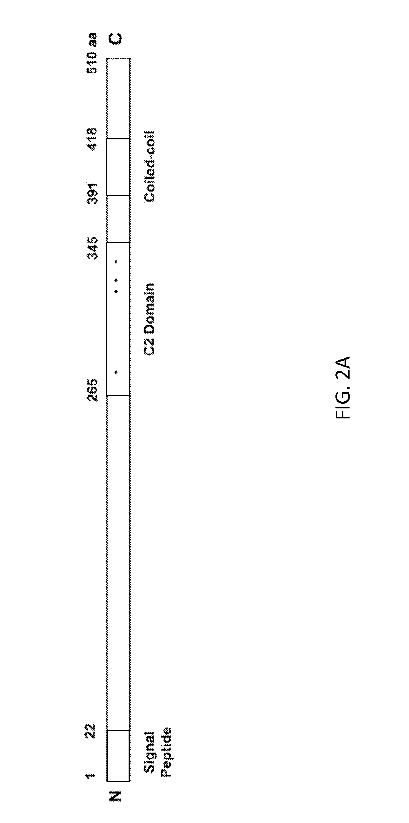 Method for producing stress tolerant transgenic plant by silencing a gene encoding calcium-dependent lipid-binding protein with c2 domain and applications of the same