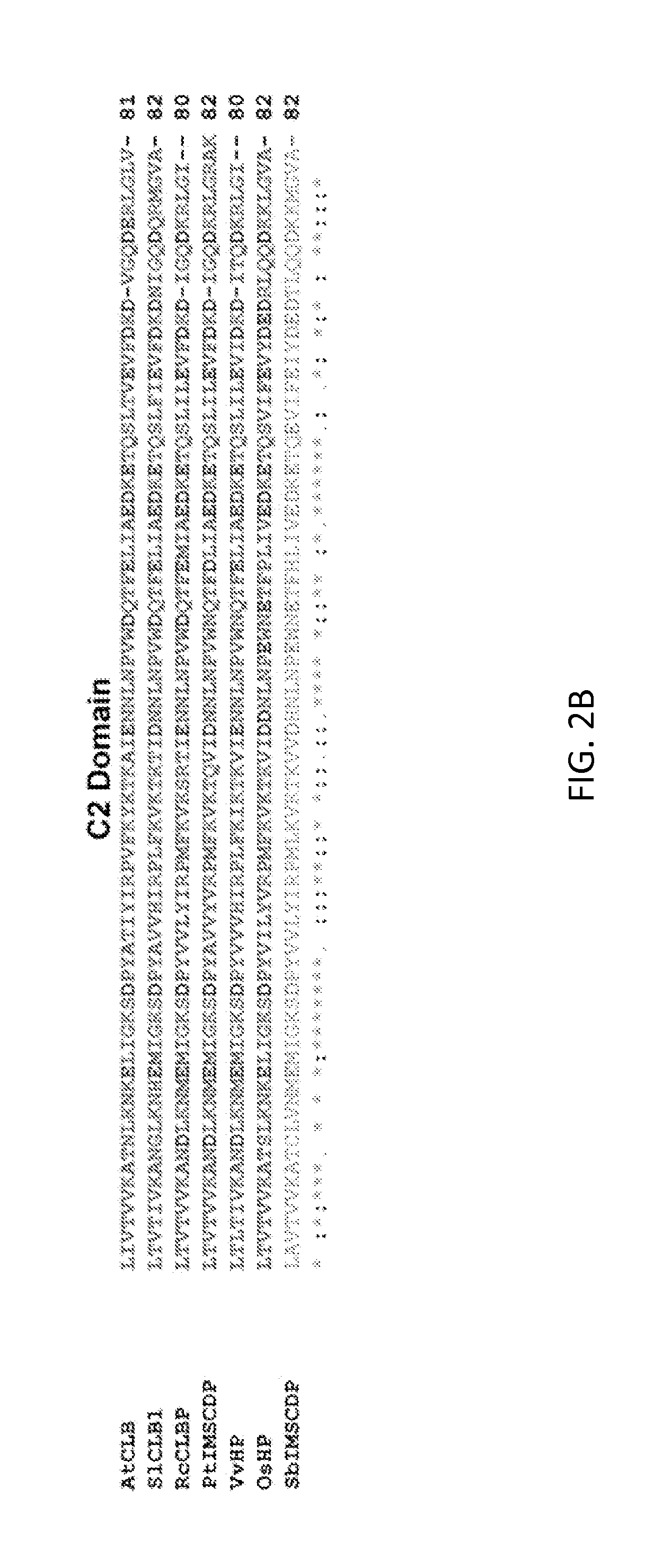 Method for producing stress tolerant transgenic plant by silencing a gene encoding calcium-dependent lipid-binding protein with c2 domain and applications of the same