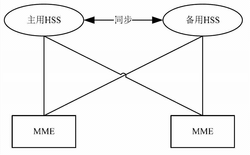 Inquiry and update method and processing system of HSS (home subscriber server) data