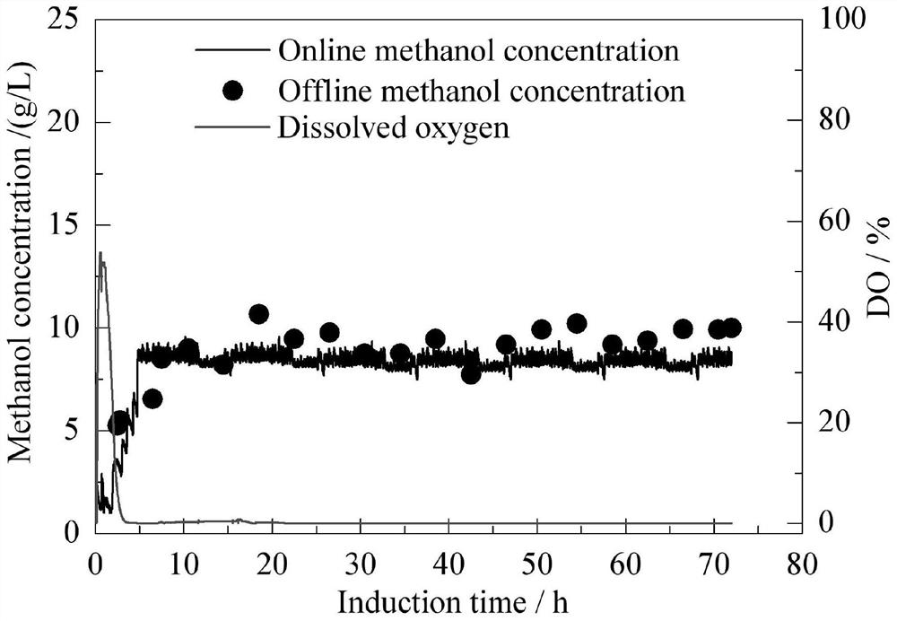 a reinforcement mut  <sup>s</sup> Method for expressing heterologous protein in Pichia pastoris