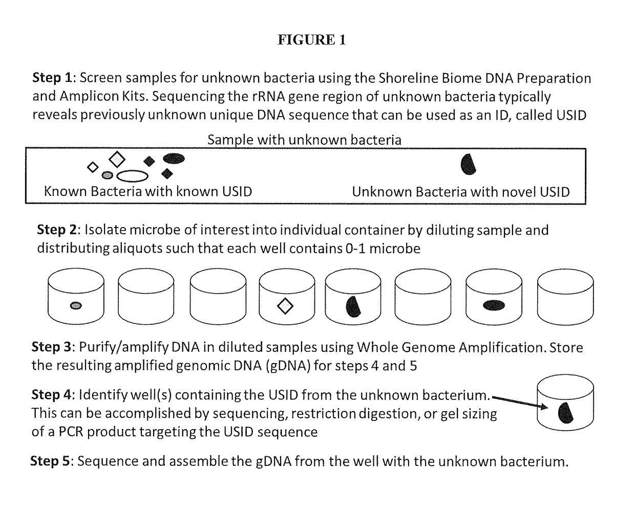 High Throughput Method for Identification and Sequencing of Unknown Microbial and Eukaryotic Genomes from Complex Mixtures